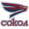 Banik Sokolov