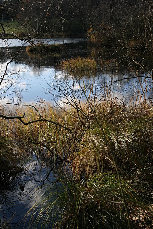 Skjern