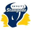 Sauzern Stampid