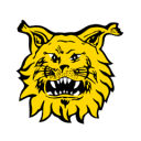 Ilves